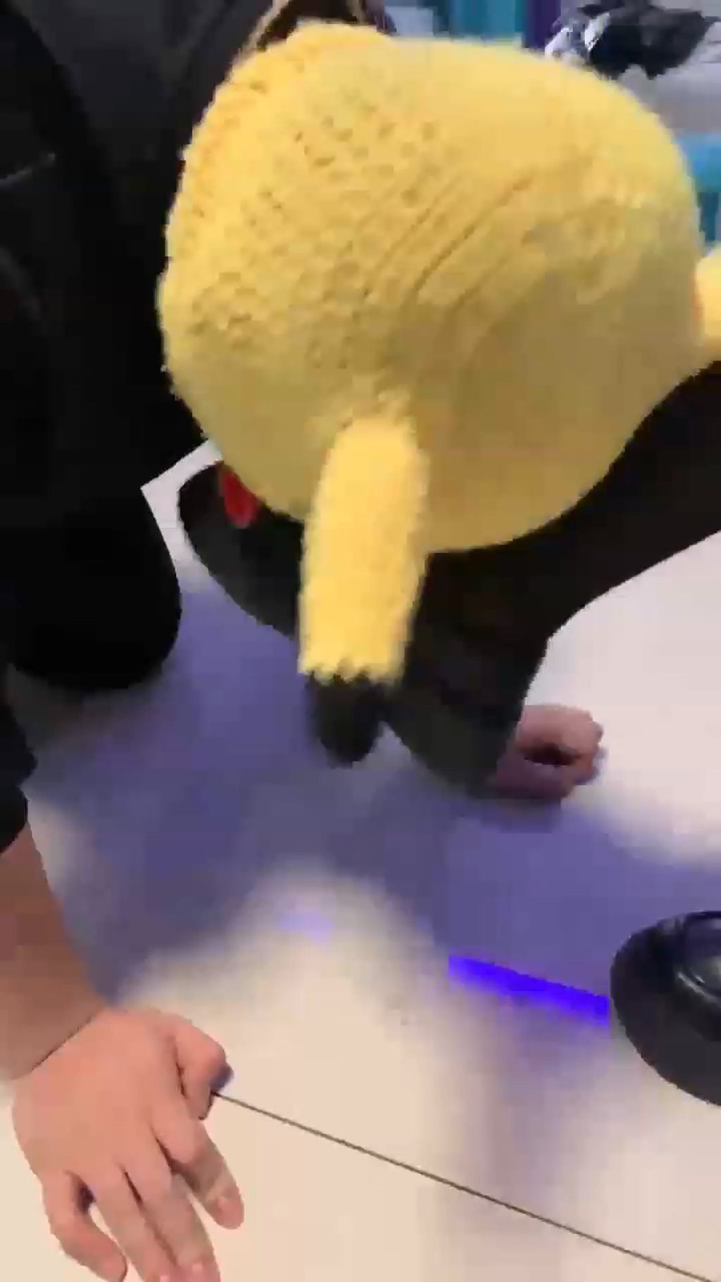 【与精神小妹的那些事】JK学妹霸凌皮卡丘【31分钟】