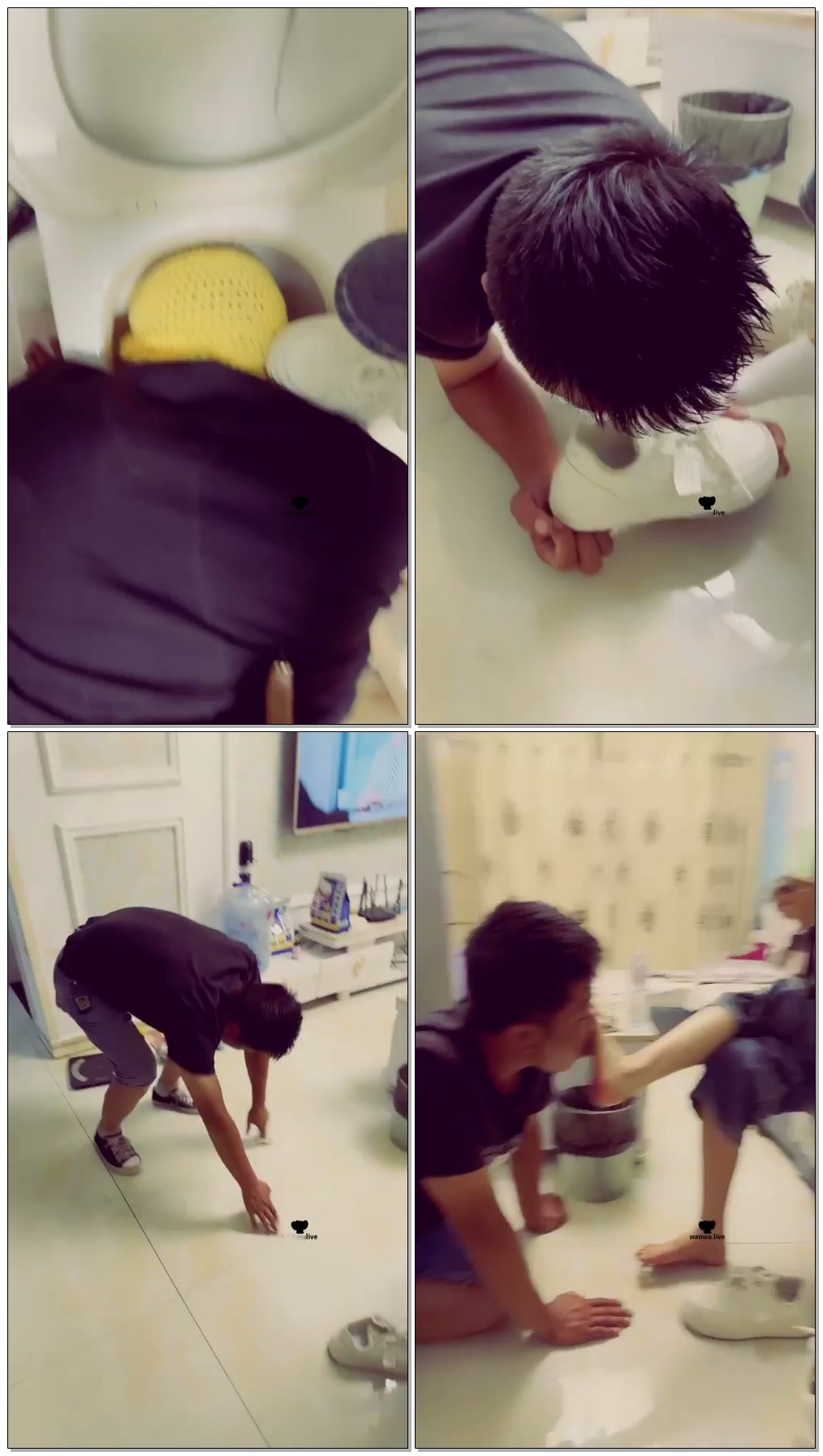 【薇恩】马桶狗【41分钟】