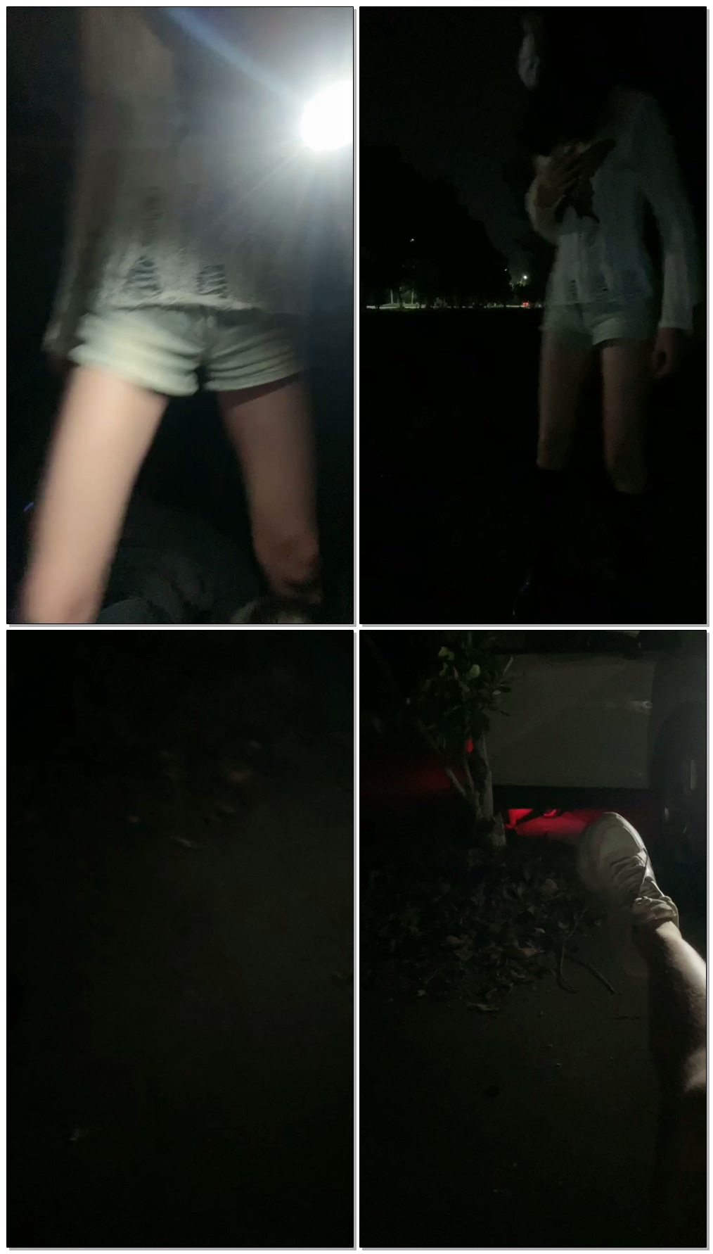 【木万S】首次户外调教贱狗【33分钟】